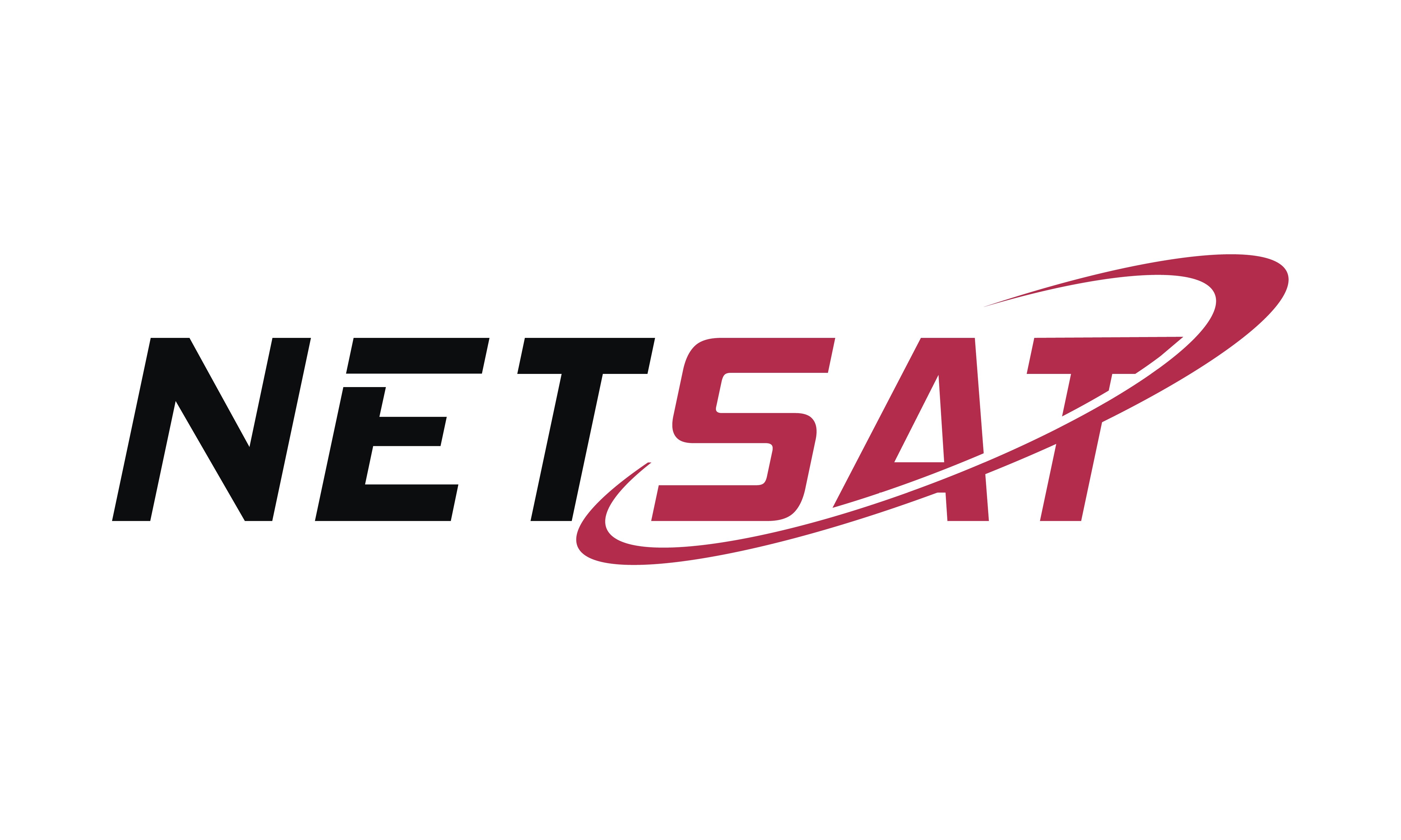NetSat logo